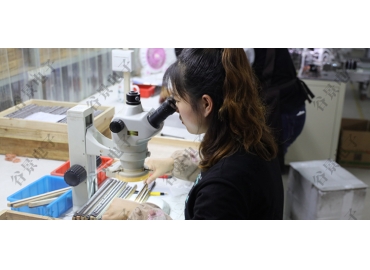 工字電感的作用你了解多少